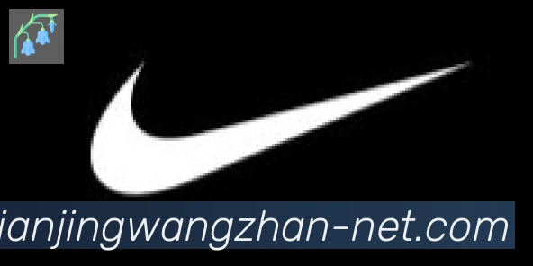 乐派电竞官方网站合作伙伴